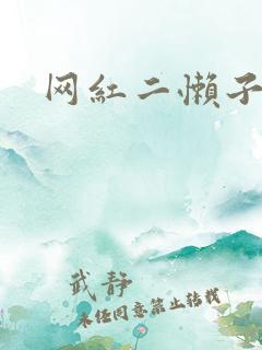 网红二懒子车祸