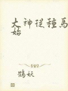 大神从种马文开始