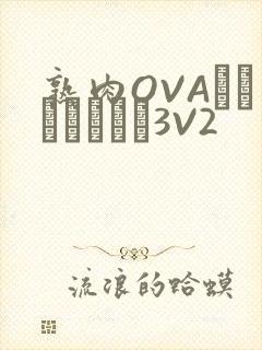 熟肉OVAちゃんはしたい3V2