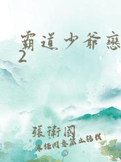 霸道少爷恋上我2