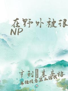 在野外被很多人NP