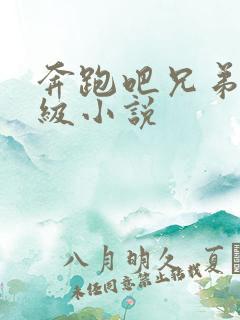 奔跑吧兄弟限制级小说