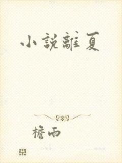 小说离夏