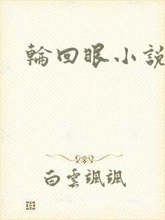 轮回眼小说