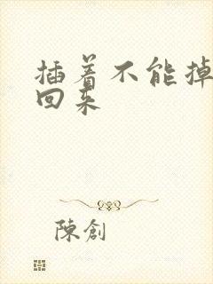 插着不能掉等我回来