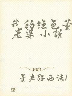 我的绝色董事长老婆 小说