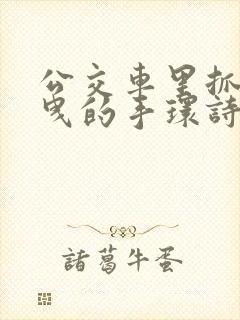 公交车里抓着摇曳的手环诗情