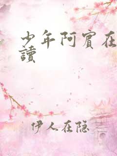 少年阿宾在线阅读