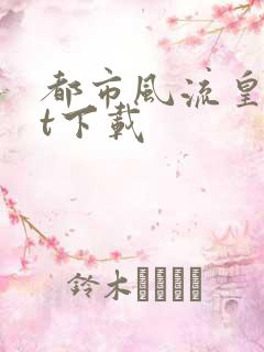 都市风流皇txt下载