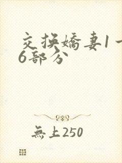 交换娇妻1一36部分