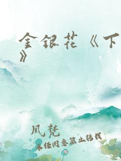 金银花《下厨房》