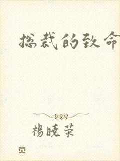 总裁的致命罪妻