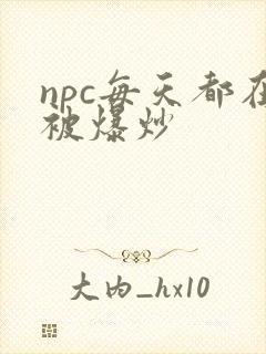 npc每天都在被爆炒