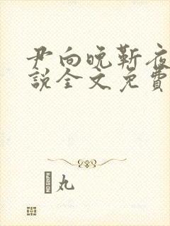 尹向晚靳夜擎小说全文免费阅读无弹窗