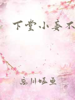 下堂小妾不好惹