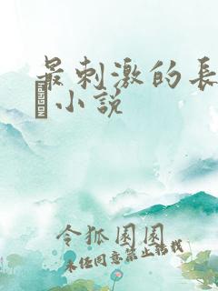 最刺激的长篇乱惀小说