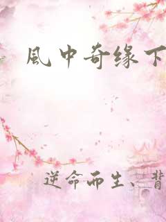 风中奇缘下载
