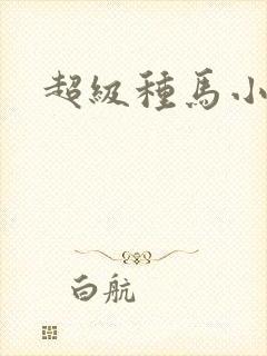 超级种马小说