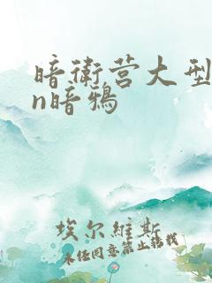 暗卫营大型hpn暗鸦