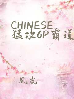 CHINESE猛攻6P霸道太子怀孕