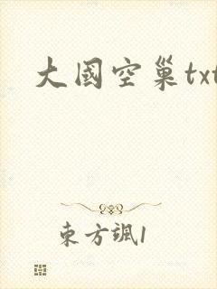 大国空巢txt