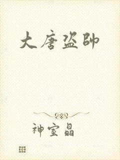 大唐盗帅