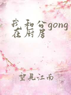 我和公gong在厨房