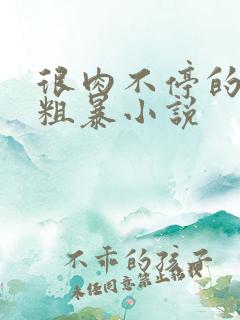 很肉不停的做很粗暴小说