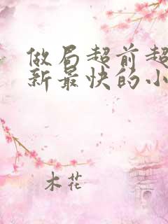 做局超前超快更新最快的小说