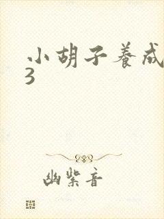 小胡子养成计划3