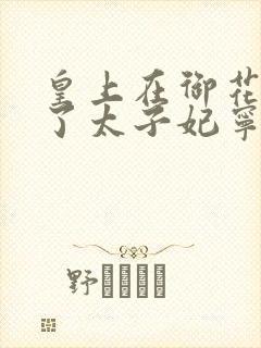 皇上在御花园C了太子妃宁儿