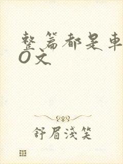 整篇都是车的PO文