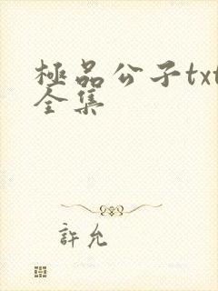 极品公子txt全集