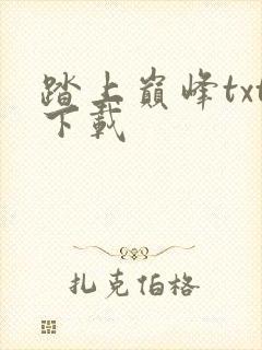 踏上巅峰txt下载