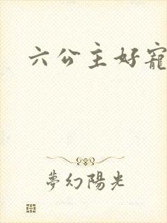六公主好宠
