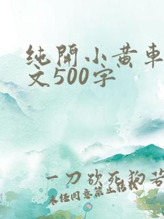 纯开小黄车小短文500字