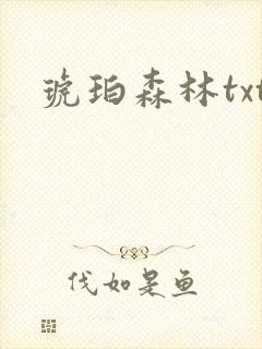 琥珀森林txt