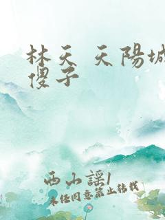 林天 天阳城 傻子