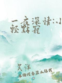 一夜深情:小叔轻点宠