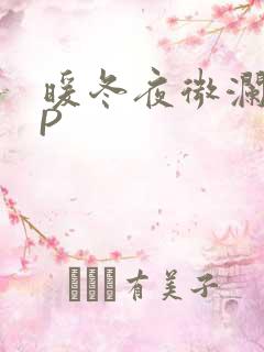 暖冬夜微澜VIP