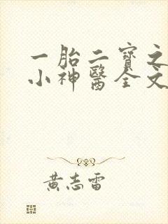 一胎二宝之弃妃小神医全文免费阅读