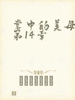 掌中的美母版主第14章