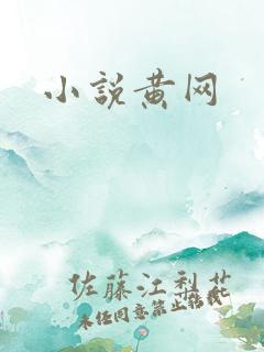 小说黄网