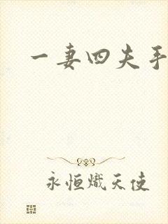 一妻四夫手记