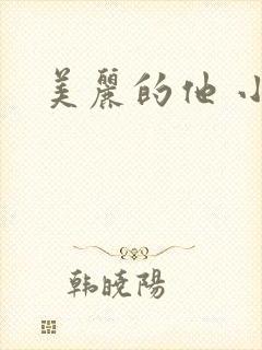 美丽的他 小说