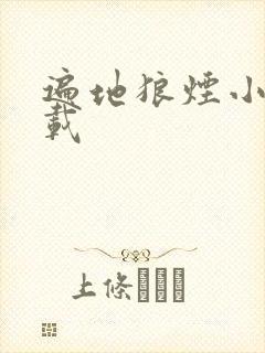 遍地狼烟小说下载