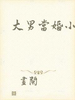 大男当婚小说