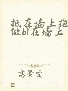 抵在墙上抱起来做bl在墙上