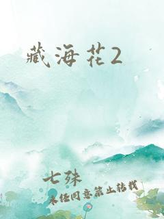 藏海花2