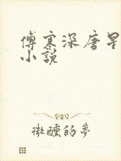 傅寒深唐星挽的小说